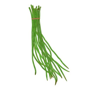 Painted Vegetables, Beans Image, Long Beans, Beans Vegetable, Fried Beans, Vegetable Cartoon, String Beans, Broad Beans, Long Bean