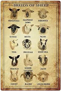 Retro Farmhouse, Sheep Breeds, Retro Posters, Metal Signs Decor, Garage Walls, Poster Retro, Farmhouse Wall Decor, Rustic Farmhouse Decor, Farmhouse Wall