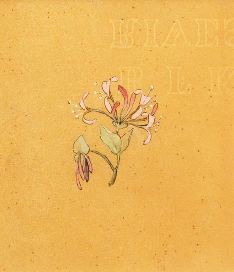 Charming water color of a sprig of Honeysuckle by Rene Lalique. He really was a gifted artist. I wonder if this was ever used for a piece of jewelry, of if Lalique just did it for his own pleasure. Honeysuckle Tattoo, Weird Flowers, Jewelry Rendering, Bijoux Art Nouveau, Honeysuckle Flower, Rene Lalique, Jewelry Illustration, Jewellery Sketches, Art Nouveau Jewelry