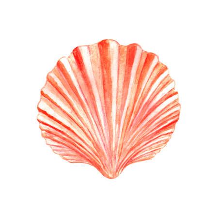 Seashell Watercolor Illustration. Hand Drawn Underwater Element Design. Artistic Vector Marine Design Element. Illustration For Greeting Cards, Printing And Other Design Projects. Royalty Free Cliparts, Vectors, And Stock Illustration. Image 40315524. Seashell Watercolor, Waves Watercolor, Seashell Illustration, Marine Design, Beach Wall Collage, Element Illustration, Beach Icon, Element Design, Summer Wallpaper