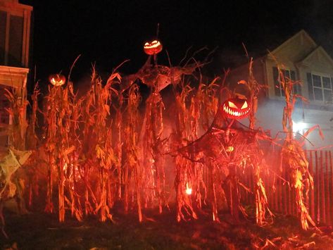 Pumpkin Patch Aesthetic, Patch Aesthetic, Scary Halloween Decorations Outdoor, Halloween Diy Outdoor, Halloween Outside, Halloween Scarecrow, Scary Halloween Decorations, Scary Pumpkin, Halloween Yard