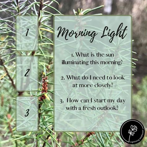 A Daily Tarot Spread Daily Tarot Questions, Daily Tarot Spreads Morning, Weekend Tarot Spread, Morning Tarot Spread, Daily Tarot Spreads, Morning Tarot, Hearth Witch, Tarot Card Layouts, Tarot Reading Spreads