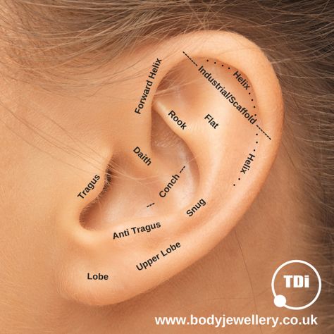 Piercings On Ear, Piercing Placement Chart, Ear Piercings Placement Chart, Piercing Placement, Ear Piercing Names, Piercings Chart, Ear Piercings Chart, Piercing Chart, Double Ear Piercings