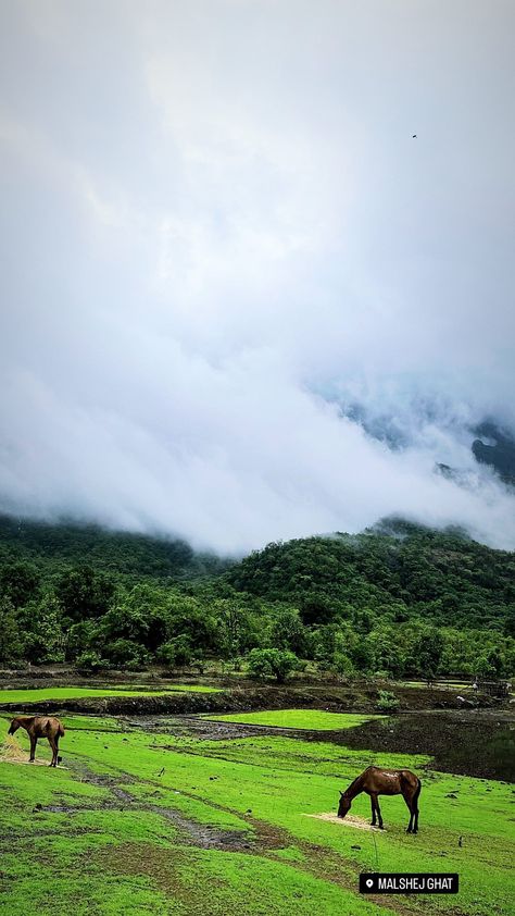 Malshej Ghat, Pune, Nature Photography, Photography, Quick Saves, Nature