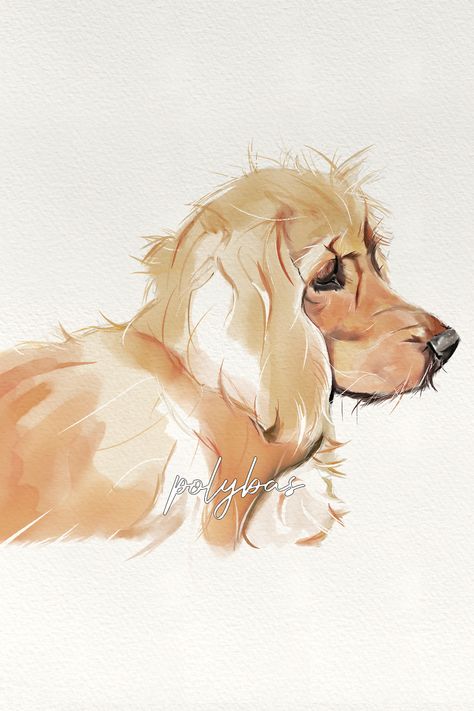 Koker Spaniel, Cute Watercolour Painting, Cocker Spaniel Painting, Cocker Spaniel Illustration, Cocker Spaniel Art, Cocker Dog, Watercolour Animals, Spaniel Art, Gouache Illustrations