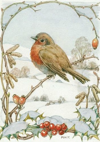 Margaret Tarrant, Images Noêl Vintages, Robin Redbreast, Christmas Bird, Dessin Adorable, Bird Drawings, Art And Illustration, Bird Illustration, Vintage Christmas Cards