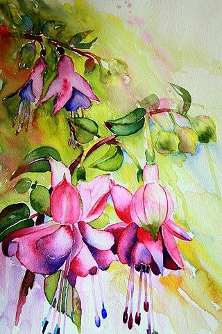 Fuschia Flower Painting, Angela Fehr Watercolors, Floral Artists, Watercolor Fuschia, Pink Orchid Painting, Fuchsia Flowers Watercolour Painting, Inspiration Painting, Watercolor Paintings For Beginners, Painting Subjects