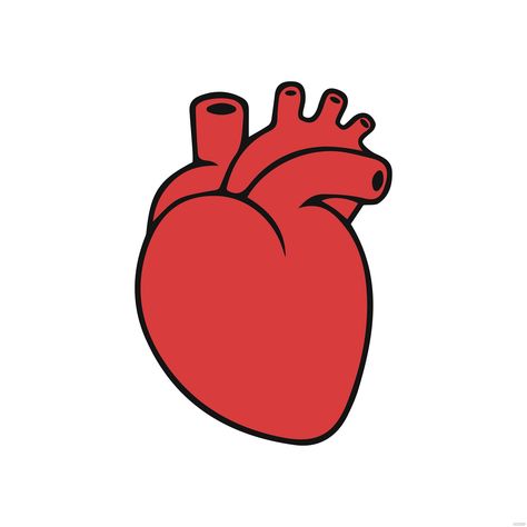 Heart Organ Illustration, Human Heart Doodle, Cartoon Heart Tattoo, Human Heart Drawing Easy, Simple Human Heart, Human Heart Outline, Heart Outline Clipart, Anatomical Heart Illustration, Heart Pressure