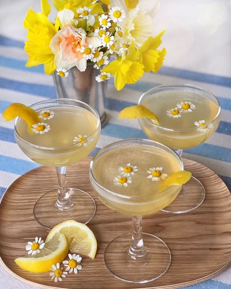 Chamomile Bee’s Knees Cocktail. - DomestikatedLife Bees Knees Cocktail, Honey Cocktail, The Bees Knees, Chamomile Flower, Spring Cocktails, Tea Cocktails, Themed Drinks, Brunch Cocktails, Pretty Drinks