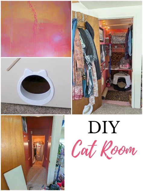 DIY Cat Room From a Closet Closet Cat Room Diy, Diy Cat Closet, Closet Cat Room, Cat Closet Ideas, Diy Cat Room, Cat Room Diy, Cat Closet, Egypt Cat, Boho Beauty