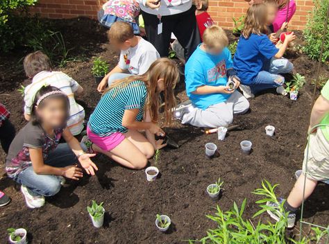 School Butterfly Garden, Preschool Butterfly, Summer Blooming Flowers, Garden School, School Gardens, Butterfly Gardens, Stem Lesson, Native Plant Gardening, Butterfly Plants