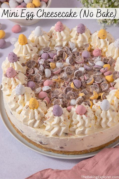 Recipe for a no bake Mini Egg Cheesecake - creamy vanilla cheesecake with a buttery biscuit base and lots of mini eggs. Perfect for Easter! #thebakingexplorer #nobakecheesecake #minieggs #eastercheesecake #nobakedessert No Bake Mini Egg Cheesecake, Mini Egg Cheesecake, Easter Cheesecake, Cheesecake No Bake, Chocolate Loaf Cake, Dessert Recipies, Vanilla Cheesecake, Mini Egg, Buttery Biscuits