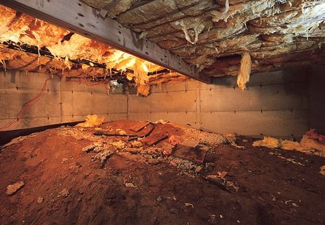 Convert Your Crawl Space into a Storage Area Crawl Space Ideas, Crawl Space Storage, Crawl Space Vapor Barrier, Crawl Space Vents, Crawl Space Insulation, Crawl Space Repair, Crawl Space Encapsulation, Basement Systems, Foundation Repair