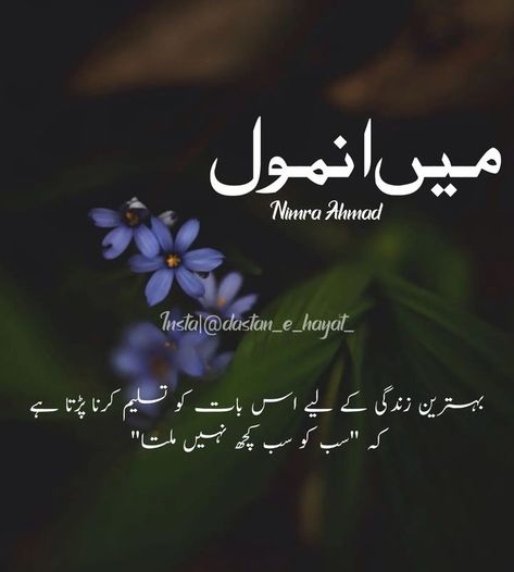 #pinterest#novel lovers#main anmol Main Anmol Quotes, Urdu Quotes Images, Novel Quotes, Black And White Picture Wall, Muslim Love Quotes, Quotes From Novels, Interesting Quotes, Urdu Novels, Couple Songs