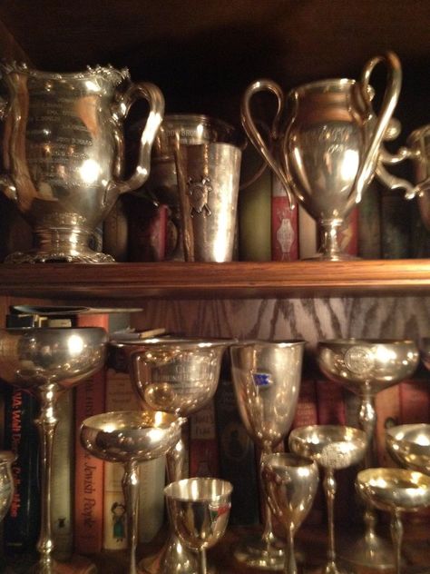 the details of the silver trophies, have a few from horse shows!! I love the tarnished look!! Trophies Aesthetic, Trophy Aesthetic, Vintage Trophies, James Potter Aesthetic, Marauders Aesthetic, Vintage Trophy, Oliver Wood, Peter Pettigrew, Trophies And Medals