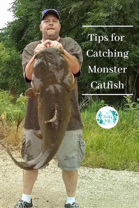 Fish Traps Diy, Fishing Traps, Monster Fish, Fishing Basics, Trophy Fish, How To Fish, Canoe Fishing, Catfish Fishing, Sporting Goods Store