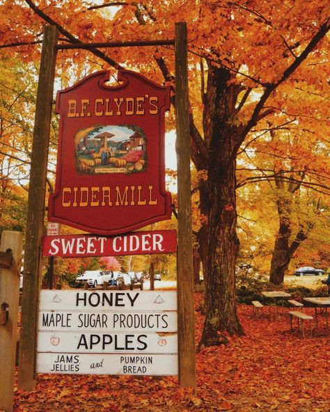 Herbst Bucket List, Fall Mood Board, Catty Noir, Pumpkin Spice Season, Season Of The Witch, Fall Feels, Happy Fall Y'all, We Fall In Love, Autumn Cozy