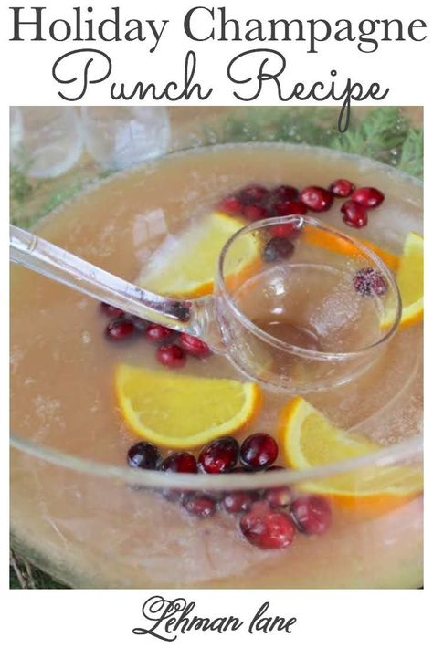 Cranberry Ginger Ale Punch, Ginger Ale Punch, Champagne Punch Recipes, Festive Punch, Cranberry Ginger Ale, Brunch Punch, Holiday Punch Recipe, Cranberry Punch, Frozen Limeade