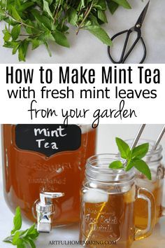 How to Make Mint Tea with Fresh Mint Leaves from your garden. This fresh mint tea is so easy to make, and only has a few ingredients!