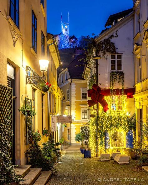 Discover Slovenia en X: "LJUBLJANA - the festively decorated streets of #Slovenia's capital #Ljubljana with its hilltop #castle in the background. (photo: @AndrejTarfila #photography, December 2023) #ifeelsLOVEnia #Travel #Christmas All you need to know to visit Ljubljana: https://t.co/Wo8AU6U8fI https://t.co/4oo7QwzGTk" / X Ljubljana Slovenia Aesthetic, Ljubljana Instagram Spots, Ljubljana Slovenia Winter, Ljubljana Castle, Novo Mesto Slovenia, Slovenia Travel, Slovenia, Study Abroad, Castle