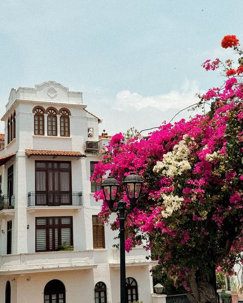 summer in casco viejo panama city - must visit in panama #panamatravel Panama City Aesthetic, Panama Aesthetic, Panama Photography, Panama Culture, Panama Travel, Panama City, North America Travel, Panama City Panama, City Aesthetic