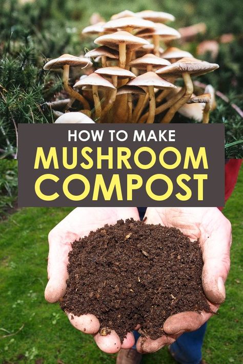 How to make your own mushroom compost: Find out how to use it and the benefits of adding it to your garden! Gardening Benefits, Mushroom Compost, Grow Mushrooms, Growing Mushrooms At Home, Mushroom Benefits, Compost Soil, Mushroom Cultivation, Garden Mushrooms, Composting At Home