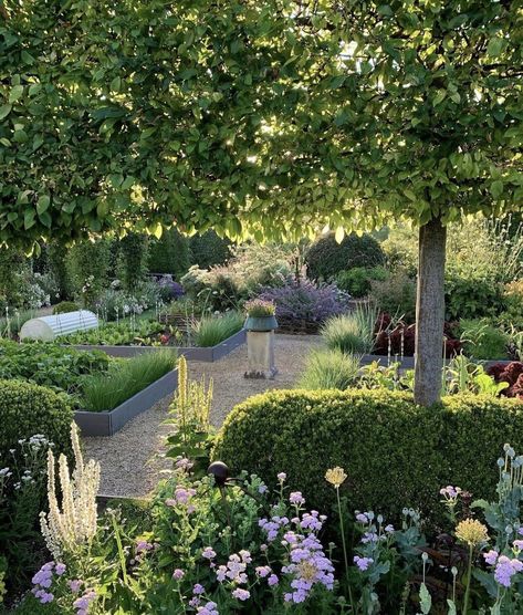 French Potager Garden, Terry Winters, Boxwood Landscaping, French Garden Design, Large Backyard Landscaping, Creative Garden Decor, Narrow Garden, Potager Garden, English Cottage Garden