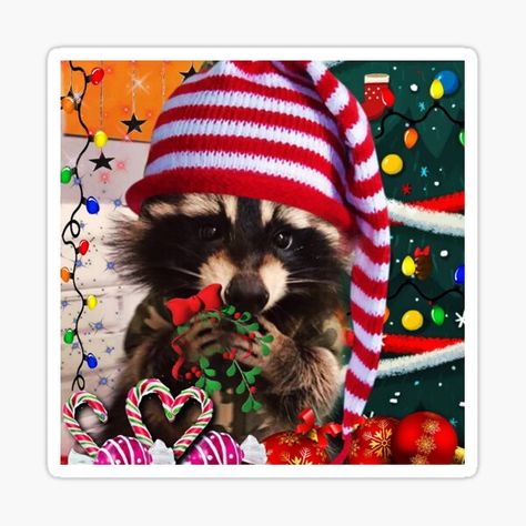 "Baby Grinch inspired Grinchmas! Cute Christmas decor festive wear" Sticker for Sale by Edgot Emily Dimov-Gottshall | Redbubble Christmas Raccoon Pfp, Cute Christmas Decor, Christmas Raccoon, Baby Grinch, Pet Raccoon, Cute Raccoon, Raccoon Funny, Karl Marx, Winter Magic