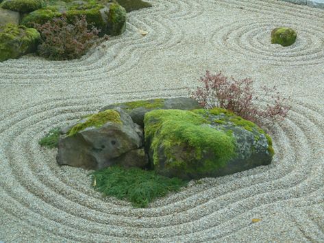 Japanese Plants, Asian Garden, Japanese Gardens, Beautiful View, Contemporary Landscape, Zen Garden, Garden Styles, Japanese Garden, Landscape Architecture