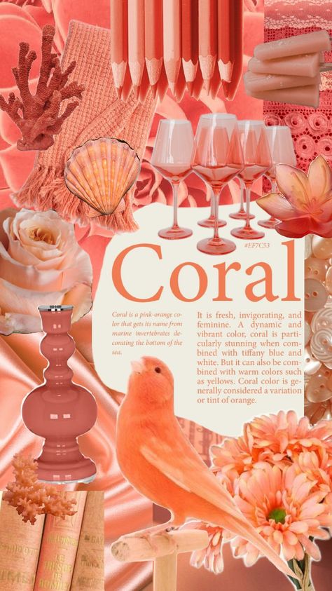 #coral Coral Color Aesthetic, Mint Butter, Coral Color Schemes, Cowgirl Barbie, Widget Aesthetic, Girl Scout Camping, Coral Wallpaper, Color Collage, Color Meanings