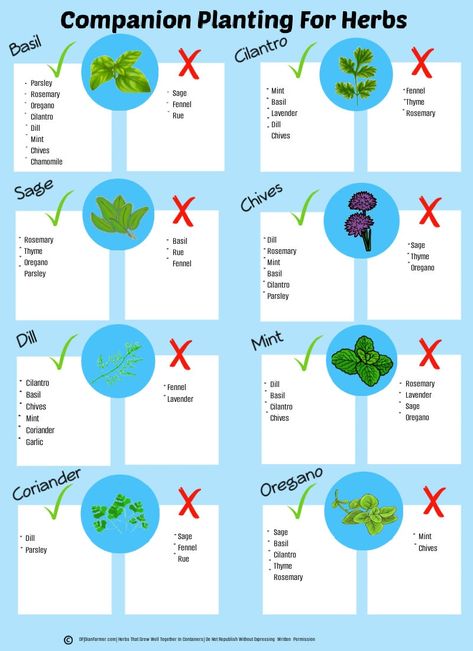 Companion Planting for Herbs: Printable Gardening Guide, Companion Planting for Herbs A Handy Chart for Your Garden, Companion Herb Plants - Etsy UK Herb Companion Planting, Herb Plants, Gardening Guide, Herb Garden Design, Garden Planner, Home Vegetable Garden, Garden Guide, Vegetable Garden Design, Food Garden