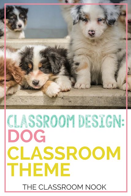 Create a dog theme classroom with these tips for dog theme bulletin board displays, dog theme accessories, printable dog theme classroom decor and more! #classroomdesign #classroomdecorations #backtoschool #teacher #classroom Dog Themed Bulletin Board Ideas, Puppy Classroom Theme, Dog Bulletin Board Ideas, Dog Theme Classroom Ideas, Dog Theme Classroom, Dog Bulletin Board, Christian Kindergarten, Cat Library, Dog Classroom