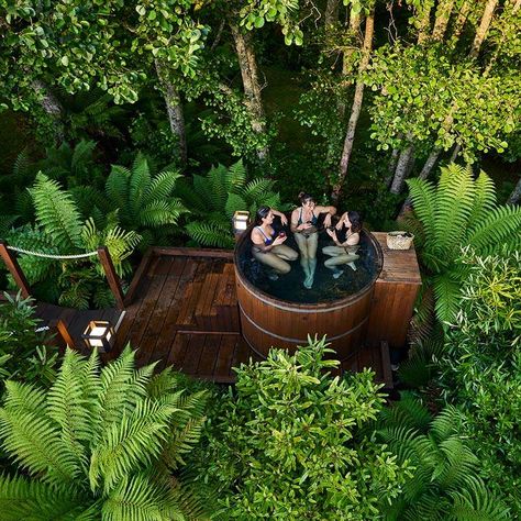 Cedar Hot Tub, Outdoor Tub, Hot Pools, Hot Tub Garden, Outdoor Spa, Rotorua, Forest Design, Hot Tubs, Spa Hot Tubs