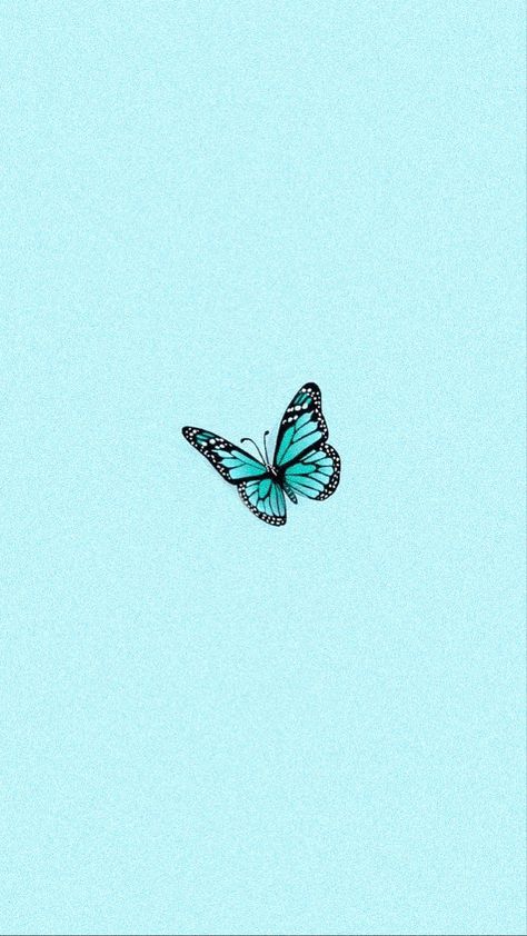 Turquoise Aesthetic Butterfly, Blue Tosca Aesthetic, Azul Turquesa Wallpaper, Wallpaper Turquesa, Teal Highlights, Turquoise Aesthetic, Swag Wallpaper, Baby Blue Wallpaper, Teal Butterfly