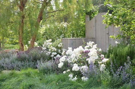 White And Purple Flowers, Patina Farm, Floribunda Roses, Pepper Tree, Water Grass, Mediterranean Garden, White Gardens, Landscape Projects, Farm Gardens