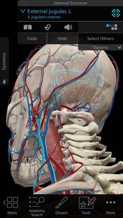 Visible Body, producer of human anatomy apps, has added augmented reality functionality to its Human Anatomy Atlas app. Anatomy Apps, Human Anatomy Picture, Anatomy App, Strength Training Anatomy, 3d Anatomy, Gross Anatomy, Medical App, Face Anatomy, Anatomy Models