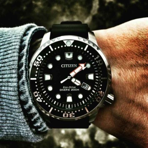 Victorinox Watches, Field Watches, Citizen Eco, Citizen Watch, Nato Strap, Dive Watches, Watch Collection, Watches Jewelry, Men's Collection