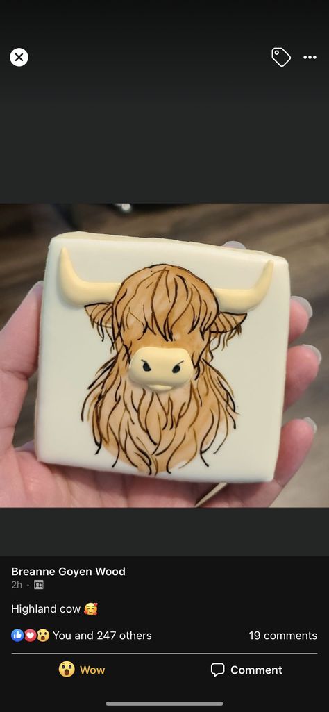 Highland Cow Cookies Royal Icing, Highlander Cow Cookies, Cow Skull Cookies, Cow Themed Cookies, Farm Cookies Decorated, Highland Cow Sugar Cookies, Highland Cow Cookies Decorated, Highland Cow Cookies, Royal Cookies