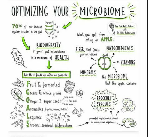 Will Bulsiewicz, Metabolic Type, Microbiome Diet, Better Gut Health, Gut Health Diet, Clean Products, Holistic Diet, Health Vitamins, Gut Microbiome