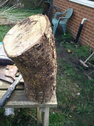 Log Fairy House - Instructables Fairy Furniture Diy, Log Fairy House, Make A Fairy House, Solar Fairy House, Make A Fairy, Fairy House Diy, Summer Fairy, Fairy Furniture, Dark Wood Stain