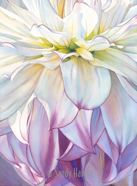 Fine Art Archives - Sandy Haight Fine Art Sheet Painting, Transparent Watercolor, Flowers Paintings, Butchart Gardens, Art Web, Colors Art, Summer 2025, Realism Painting, Watercolor Flower Art