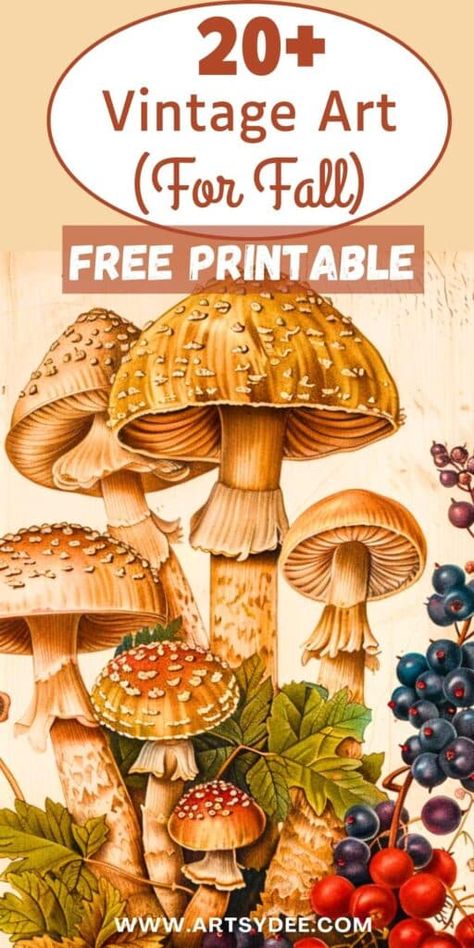 Free Printable Illustration, Free Printable Images For Decoupage, Vintage Fall Images Free Printable, Fall Printable Art, Free Mushroom Printables, Vintage Clip Art Free Printables, Autumn Printables Free, Free Clip Art Printables, Free Autumn Printables