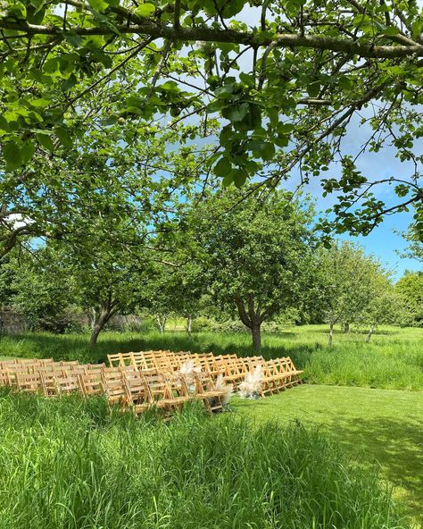 Where love blossoms among the apple trees - our Wild Apple Orchard 🤍 Are you looking for your dream outdoor wedding venue? Chapel House Estate is surrounded by 35 acres of rustic wildness and considered landscaping with endless opportunities to use all of our beautiful spaces ✨ To enquire, email us on info@chapelhouseestate.co.uk and a member of our team will be in touch. We really look forward to hearing from you 🫶🏽 #kentvenue #kentwedding #weddingvenue #weddingvenuesuk #weddingvenuedecor... Orchard Wedding Ceremony, Wedding Orchard, Apple Orchard Wedding, Orchard Wedding, Wedding Venues Uk, Kent Wedding, Apple Trees, Endless Opportunities, Wild Apple