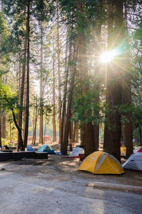 Camping at Yosemite National Park Yosemite Camping, National Park Camping, Camp Site, Camping Destinations, Scenic Photography, California National Parks, Yosemite Valley, Utah National Parks, National Parks Trip