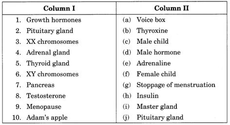 Reaching the Age of Adolescence Class 8 Extra Questions Science Chapter 10 - Learn CBSE  #ExtraQuestionsforClass8ScienceChapter10 #Class8Notes Reaching The Age Of Adolescence Notes, Classroom Bulletin Boards Elementary, Estrogen Hormone, Mammary Gland, Pituitary Gland, Science Notes, Sweat Gland, Adrenal Glands, Thyroid Gland