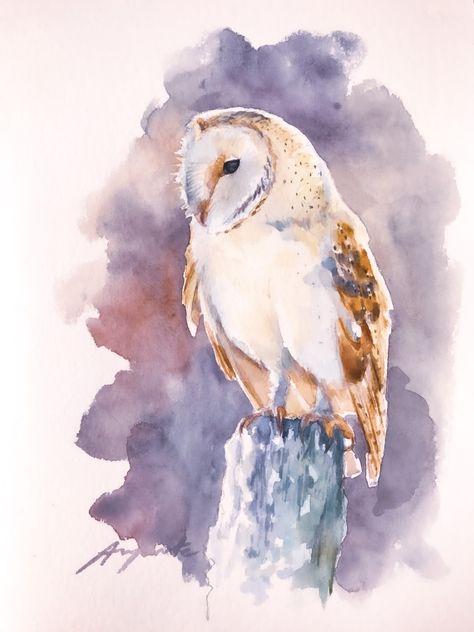 Watercolour Owl, Baby Barn Owl, Watercolour Birds, Illustration Process, Bird Artists, Owl Watercolor, Snow Owl, Studio Visit, Owl Painting