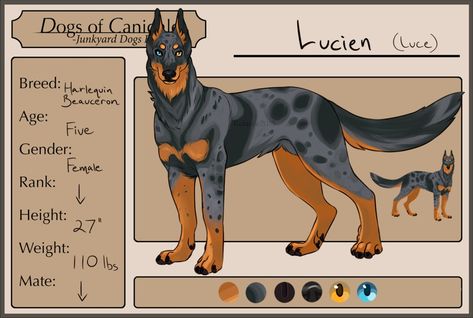 https://kalanse.deviantart.com/art/Lucien-535113544 Survivor Dogs, Dog Oc, Dog Design Art, Junkyard Dog, Canine Drawing, Dog Movies, Canine Art, Animated Animals, Cute Fantasy Creatures