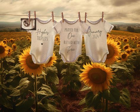 Digital Sunflower Triplets Pregnancy Announcement, Summer Triplet Reveal, Spring 3 Babies Announce, Social Media, Rainbow Miracle IVF Babies Triplet Announcement, Sunflower Pregnancy Photoshoot, Flower Field Pregnancy Announcement, Ivf Pregnancy Announcement Photoshoot, Ivf Baby Announcement, Sunflower Field Pregnancy Announcement, Triplets Pregnancy, Digital Baby Announcement, Ivf Baby