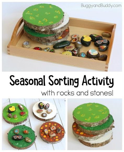 Montessori Diy, Seasons Activities, Nature School, Wooden Circle, Montessori Ideas, Daycare Activities, Preschool Science, Forest School, Sorting Activities