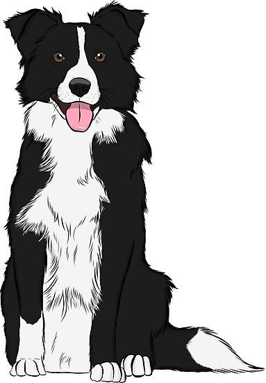 Border Collie Art, White Border Collie, Sticker Illustration, Paint Your Pet, Border Collie Puppies, 강아지 그림, Border Collie Dog, Poster Illustration, Happy Boy